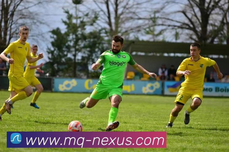 足球买球平台生态图